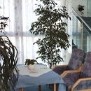 Eine Sitzecke im Haus der Familie